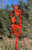 Blossom Modern Bird Feeder #3 in Welded Steel and Coral Red Spray Enamel