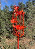 Blossom Modern Bird Feeder #3 in Welded Steel and Coral Red Spray Enamel